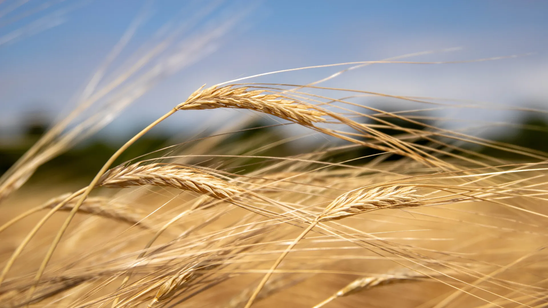 Kalite Kontrol Süreçleri