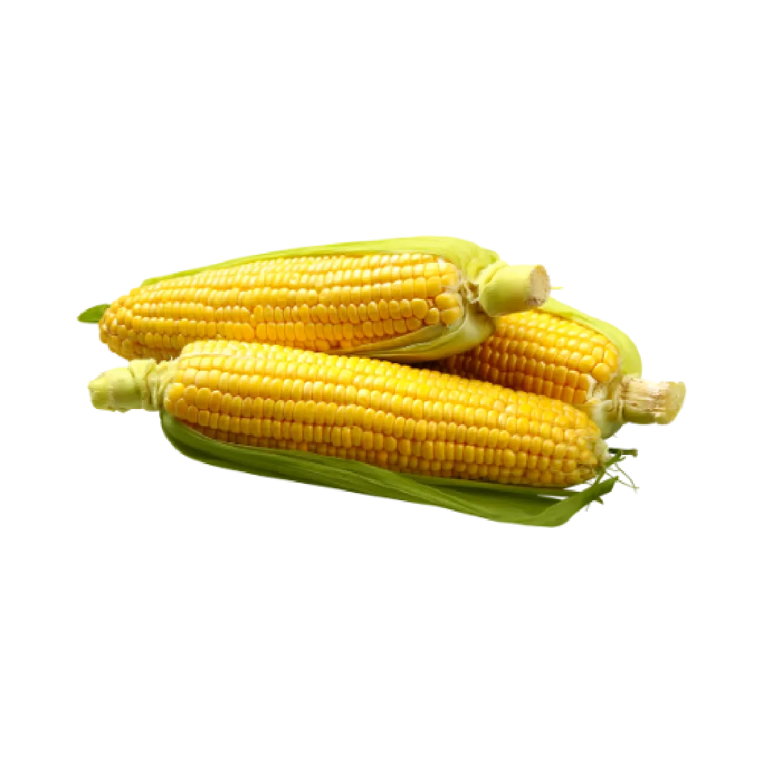 Kuzey Tarım Hakkında